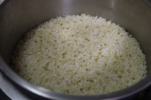 玄米を炊いたところ