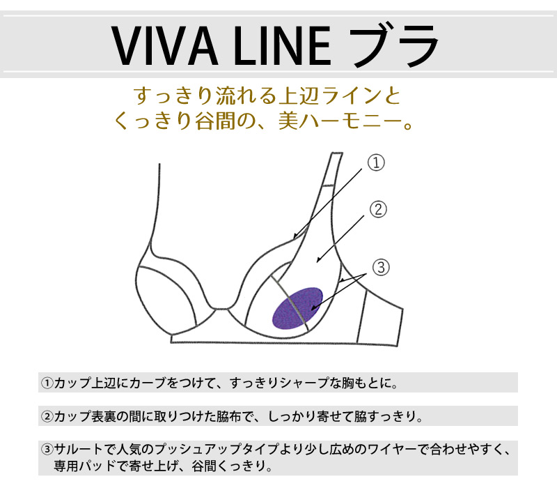 VIVAライン機能図