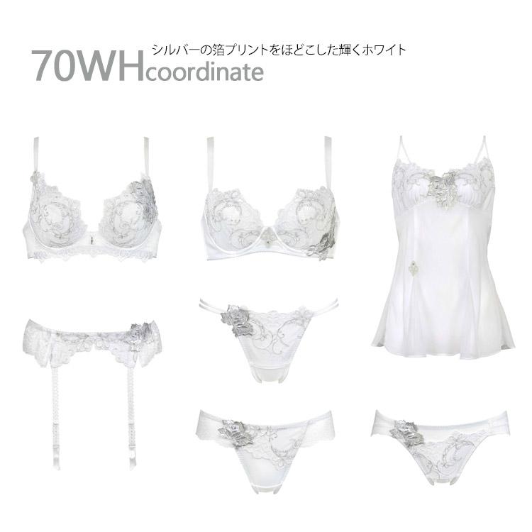 サルート70Gのシリーズ一覧図（ホワイトカラー）